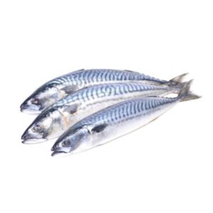 Frozen Mackerel Fish (400 – 600 Titus fish)