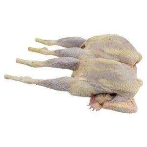 Hard Whole Broiler Chicken