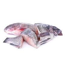 Tilapia Fish Stake