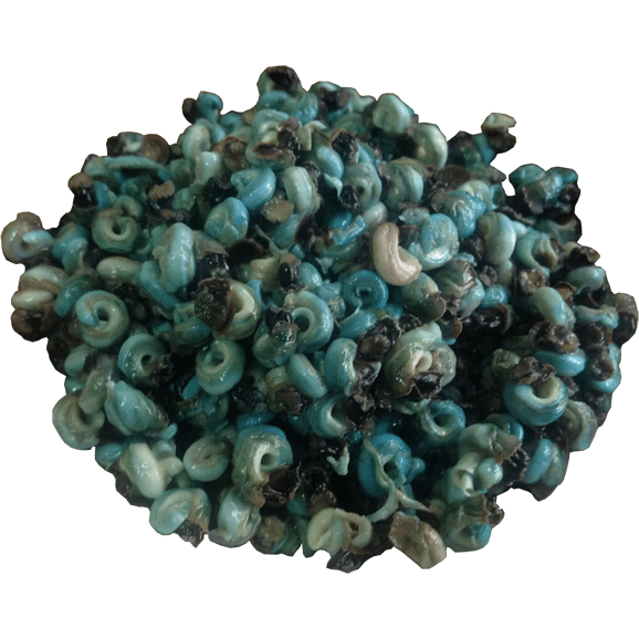 Frozen Peri-winkle (No Shell)